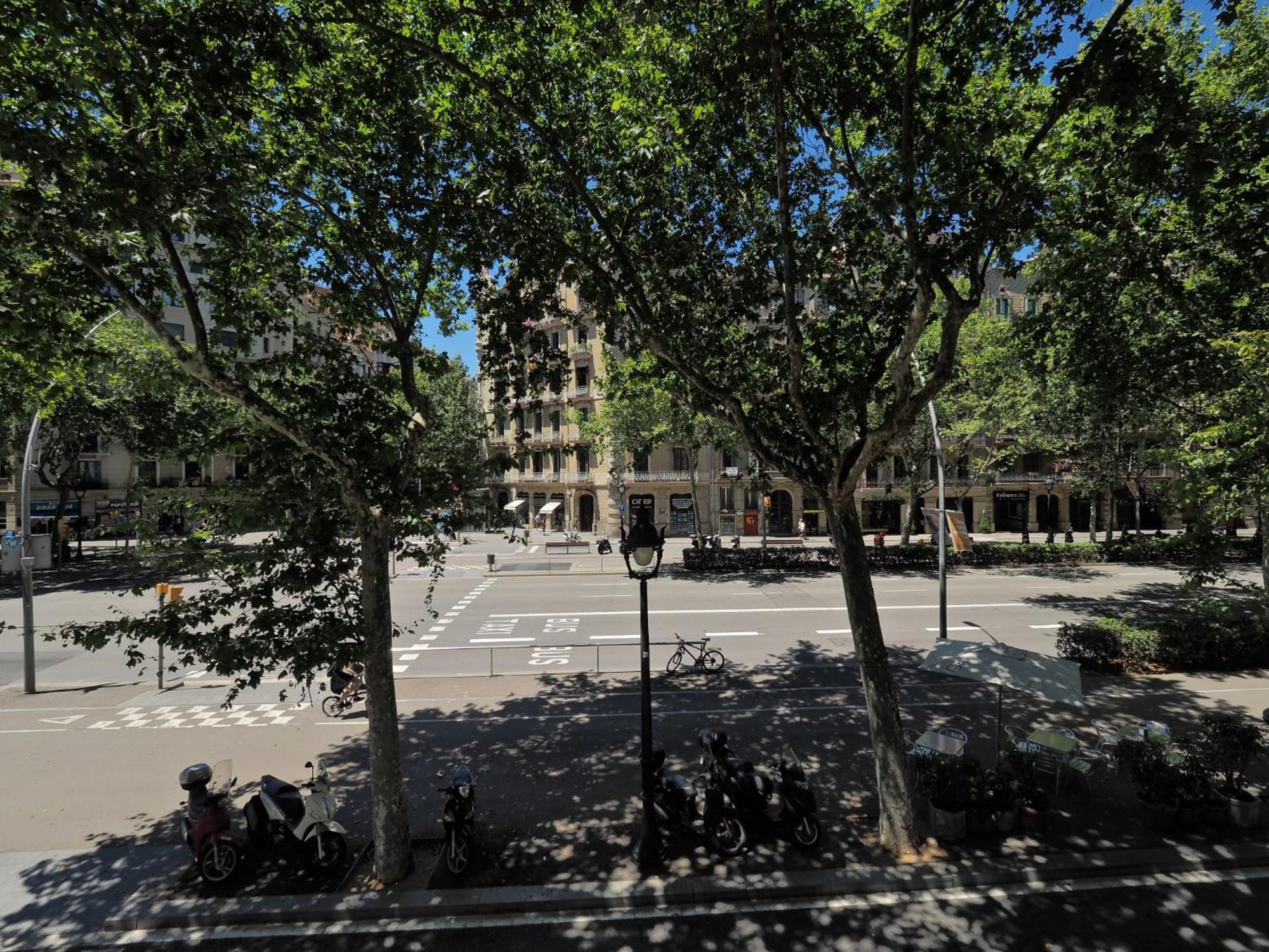 Barcelona Central Park II — Photos 1